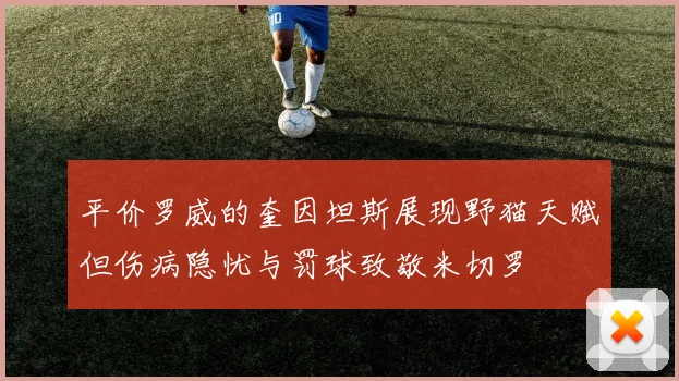 平价罗威的奎因坦斯展现野猫天赋但伤病隐忧与罚球致敬米切罗