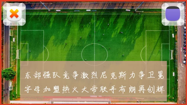 东部强队竞争激烈尼克斯力争卫冕字母加盟热火大帝联手布朗再创辉煌