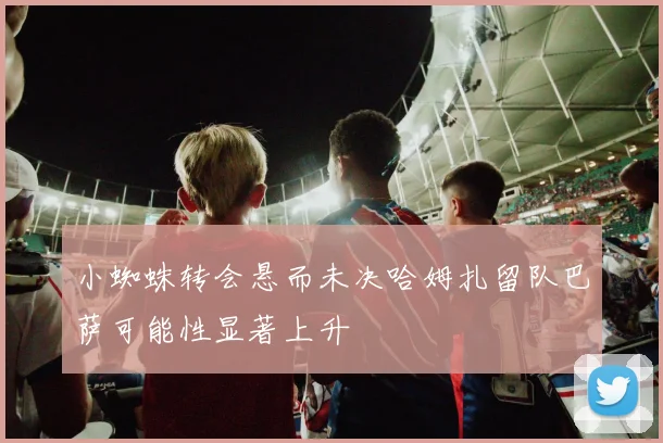 小蜘蛛转会悬而未决哈姆扎留队巴萨可能性显著上升